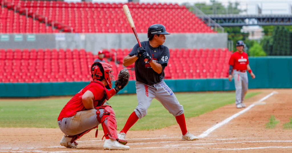 Baseball Game in Action